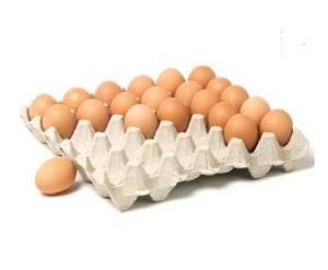 Keding Recycle Paper Moulded Pulp Shockproof Egg Tray / Egg Carton / Egg Box 30PCS