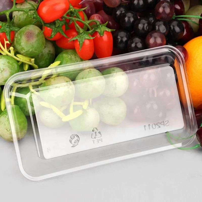 wholesale rectangular packaging plastic tray for fruit