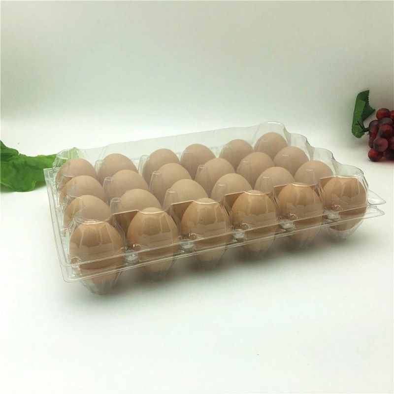 Pet Disposable Plastic Egg Tray Packaging