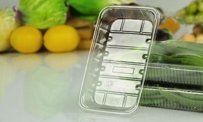 Fresh Vegetable Fresh Fruit Disposable Plastic Packing Tray Food grade PP White color Plastic Blister Tray