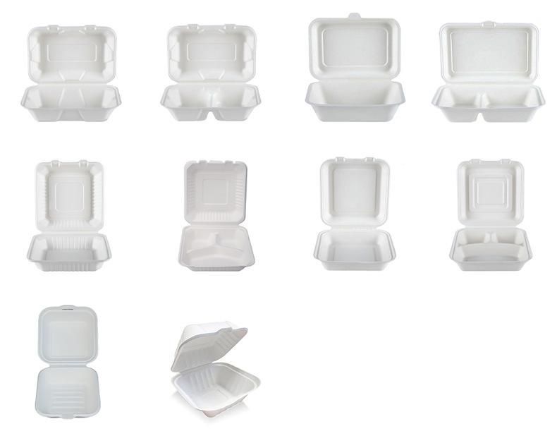 Disposable Sugarcane Food Containers with 2 Compartments