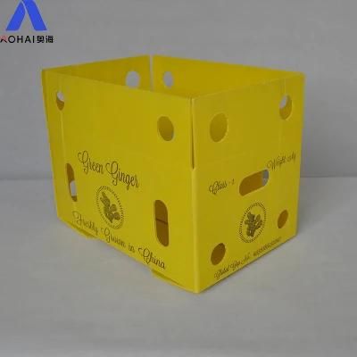 Customize Various Types of PP Corrugated Paper Packaging Boxes
