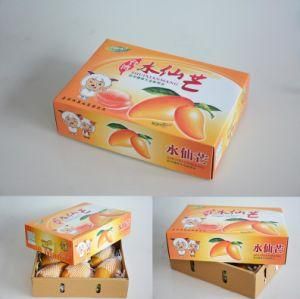 Printed Corrugated Fruit Paper Box/Packing Box/Packaging Box
