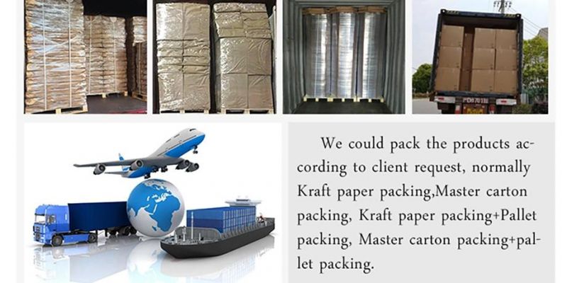 Printing Foldable White Kraft Paper Carrier Bag with Logo Manufacturer