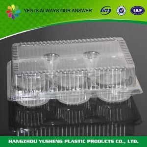 China Supplier Disposable Plastic Divided Cake Box with Hinged Lid
