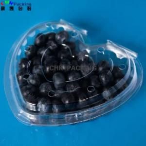 High Quality Fruit Clamshells Take Away Fruit Punnet Clear Plastic Tray Box Plastic Fruitcontainer