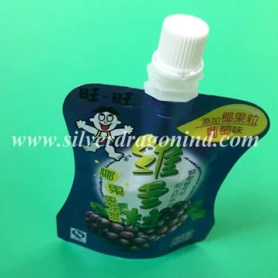 Plastic Stand up Spout Pouch with Washing Liquid (500g)