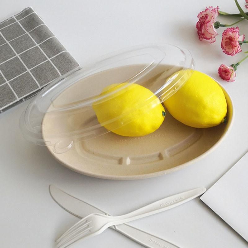 Oval Dish Plate Eco Friendly Bagasse Tableware Disposable Sugarcane Bowl