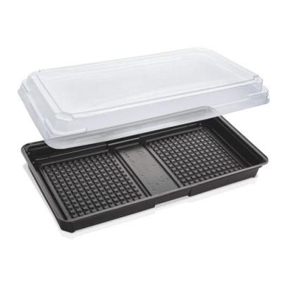 Disposable Different Color with Lip Sushi Box