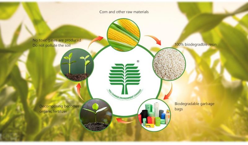 PLA+Pbat/Pbat+Corn Starch Biodegradable Bags, Compostable Bags, Food Bags for Supermarket