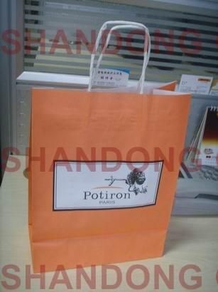 100% Eco-Friendly Art Paper/Cardboard with Custom Logo Printed Packaging Paper Bag