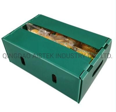 PP Coroplast Corrugated Plastic Grape Fruit Packing Box