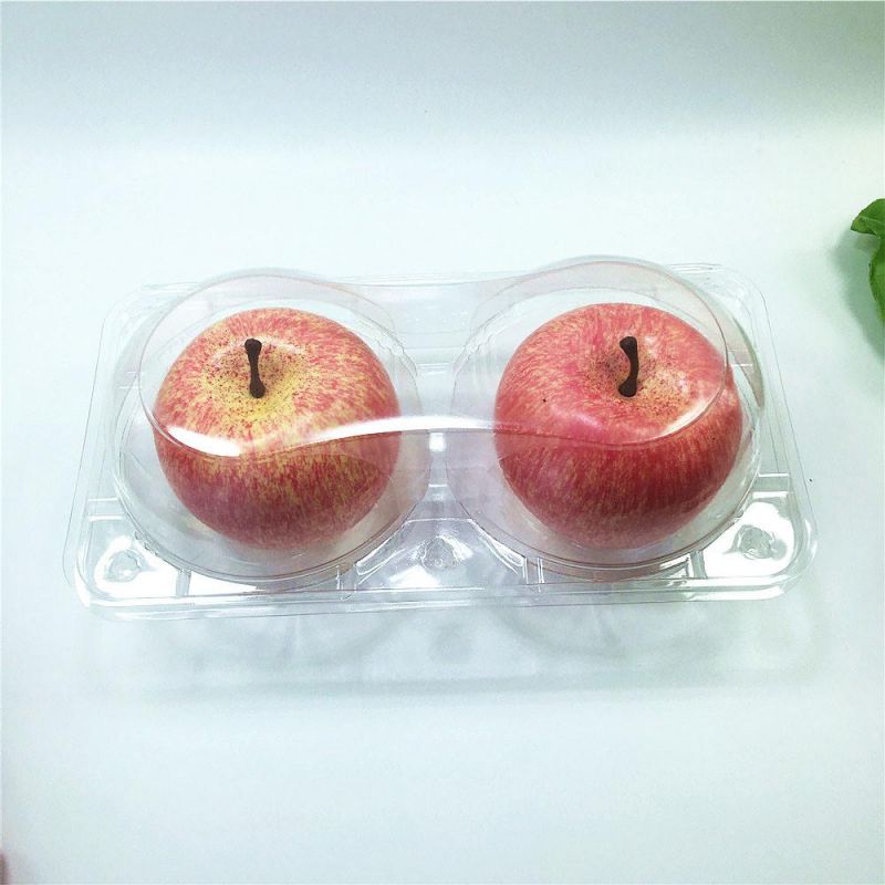 Plastic Food Fruit Packaging with Lid