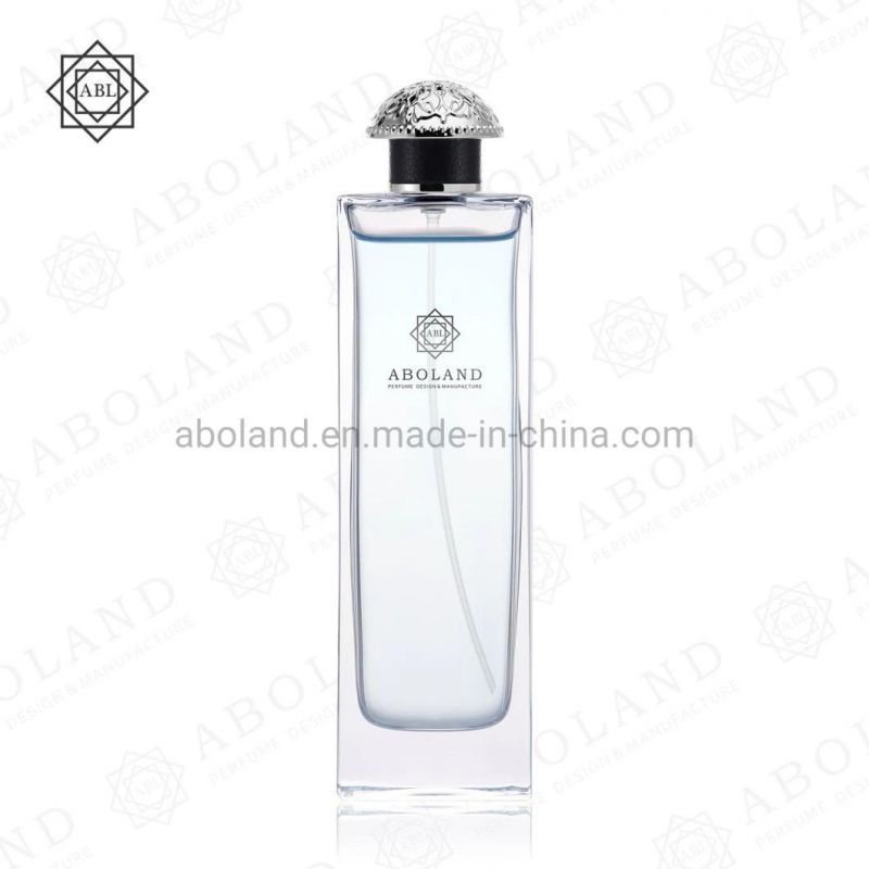 Wholesale Elegant Style Clear Empty Perfume Glass Bottle