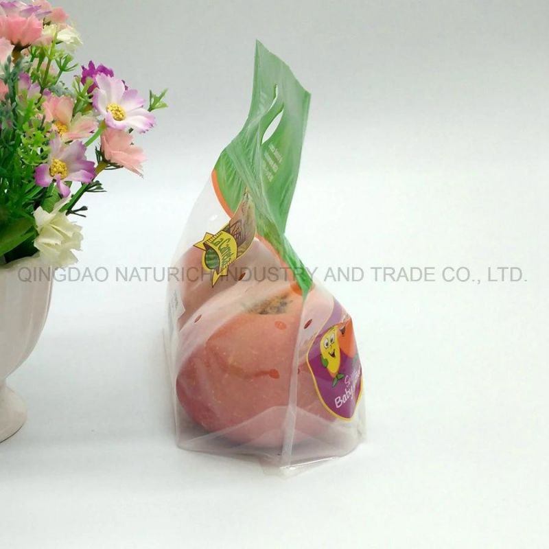 Plastic Laminated Fruit Packing Bag with Hand Hole