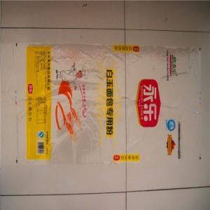 25kg PP Woven Cement Bag, Valve Bag, Chemical Sacks