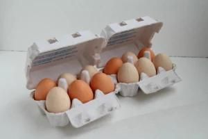 Eggs Tray: Paper Pulp Packaging for Eggs Protection