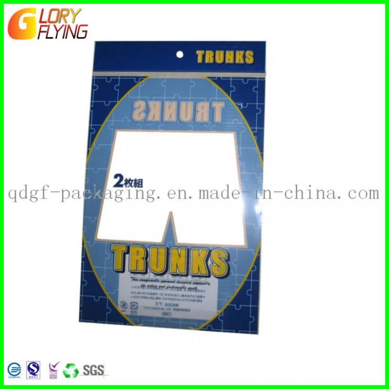 Plastic Bag for Packing Garment with Zipper/Packaging Bags Zip Lock Bag