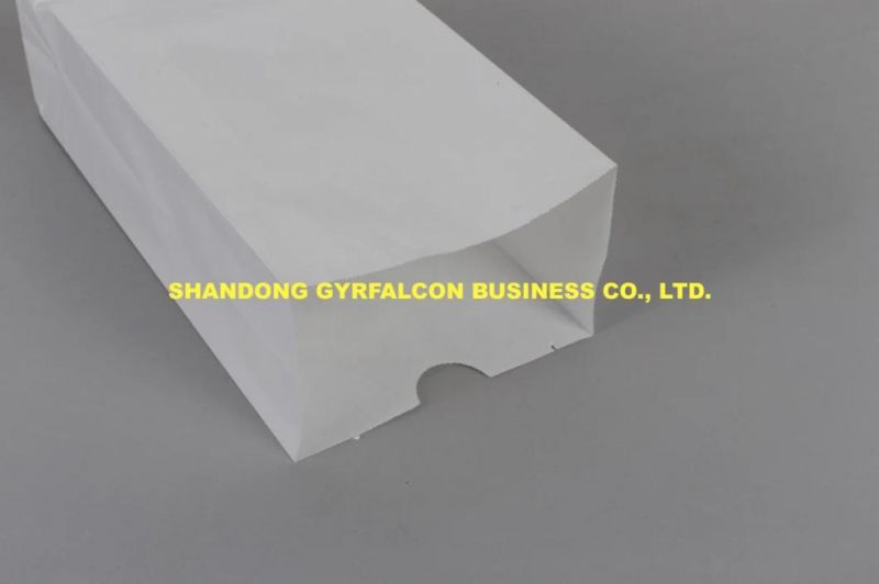 Wholesale Biodegradable Colorful/White Kraft Paper Bag with OEM Service