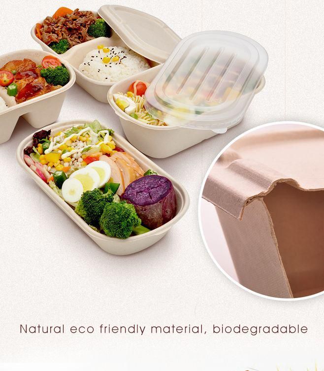 Sugarcane Fibers Bagasse Compostable Take out Food Containers