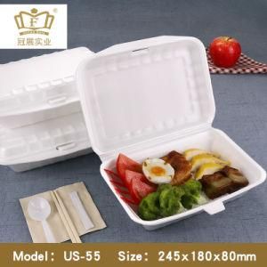 Us-55 Foam Lunch Box