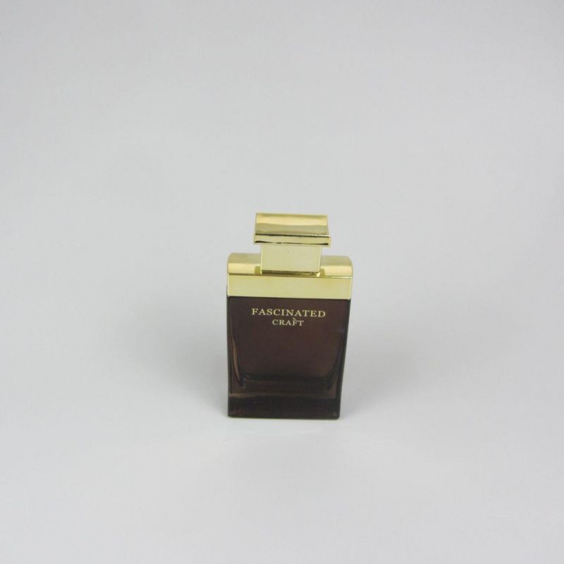Cosmetics Packaging 100ml Transparent Glass Perfume Bottle