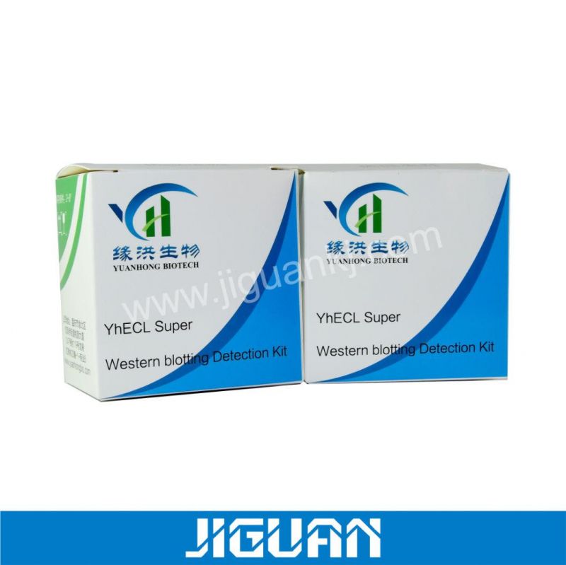 Factory Direct Price Pharmaceutical 2ml 10ml Vial Packaging Box