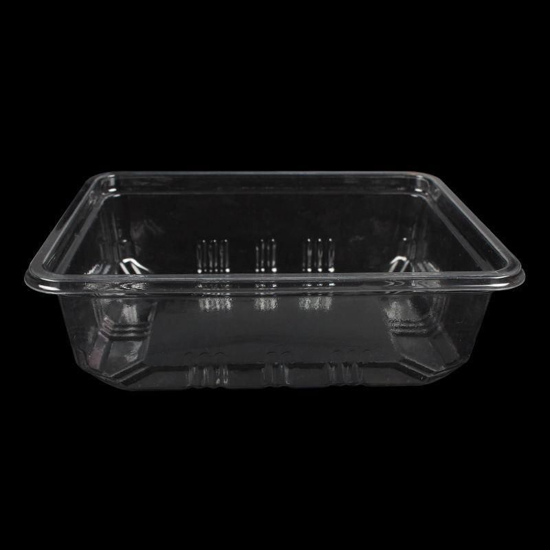 2020 High quality upgrade fruit vegetable sushi and food packaging blister wholesale PET disposable plastic plate