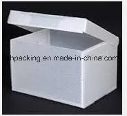 Recyclable Plastic Corflute Box/Correx Box/Coroplast Box/Folding Box/Garbage Box