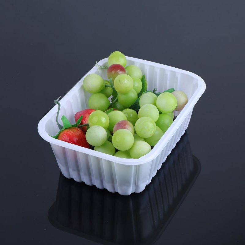 New Craft Made in China International Market Popular Design Plastic Eco Friendly Plastic Frozen Food Tray Packaging