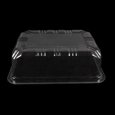 32oz American Style Plastic Disposable Takeaway Packaging Food Container Clear Food Fruit Tray