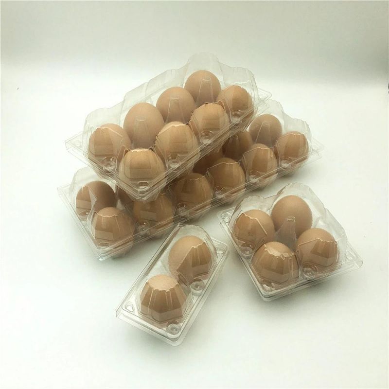 Pet Disposable Plastic Egg Tray Packaging