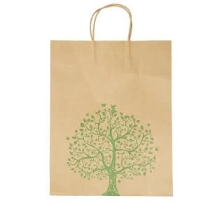 Custom Design Paper Bag with Handle