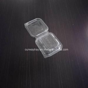 Plastic Fruit Packing Clamshell/Food Container