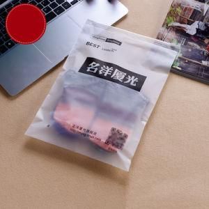 Customized Packaging Bags for Clothing Clear Ziplock Zipper PE Plastic Bags