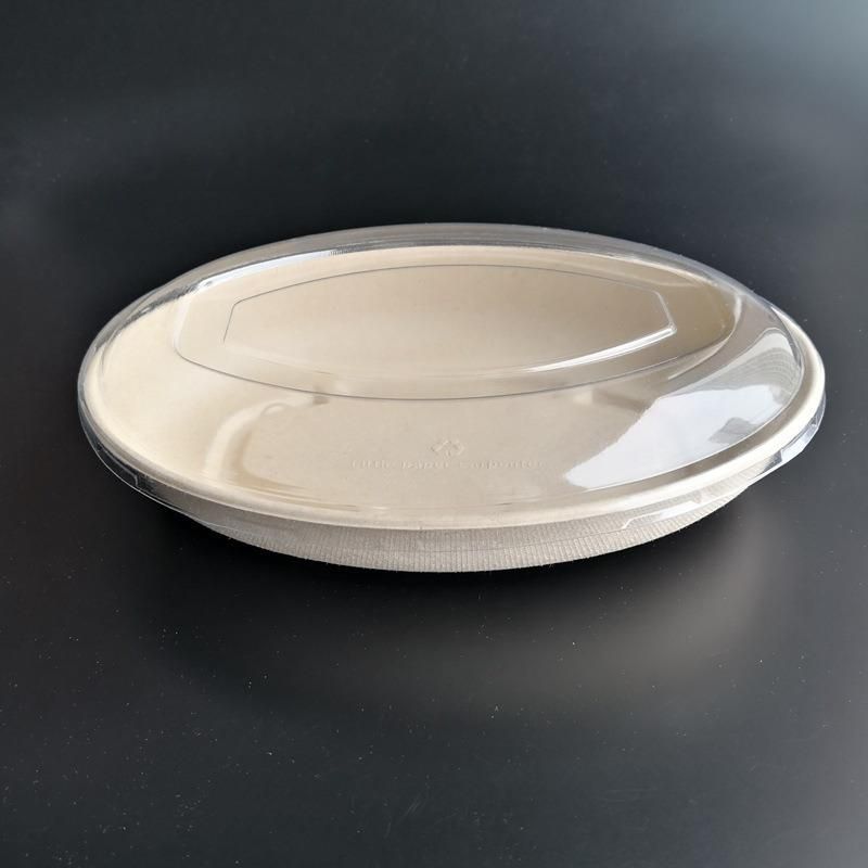 100% Environment-Friendly Biodegradable Plate Oval Bowl Sugarcane Bagasse