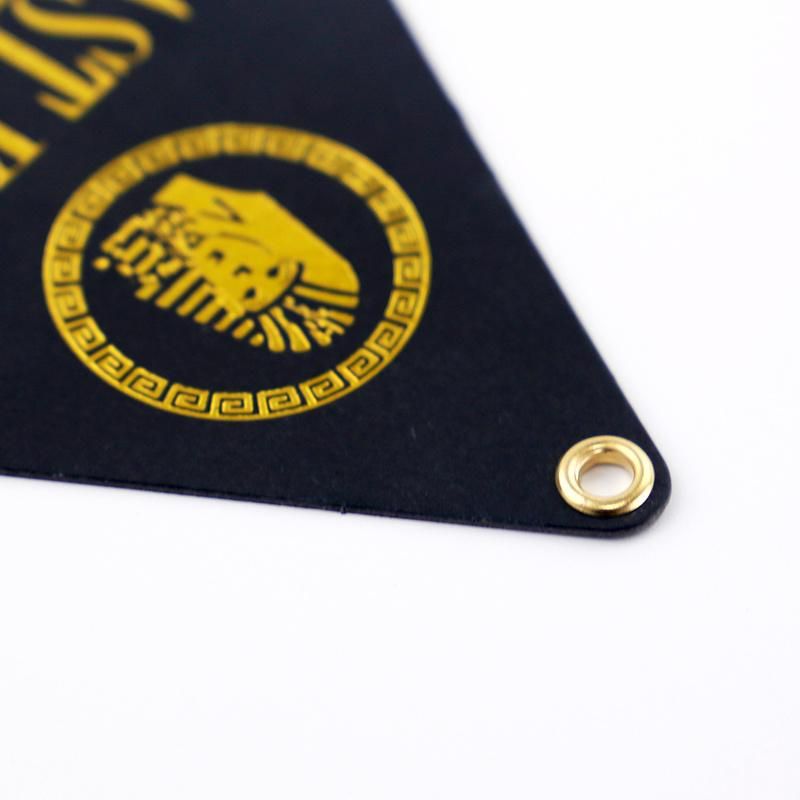 Custom High Quality Hot Stamping Triangle Black Paper Hang Tag with Eyelet