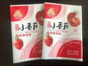 Plastic Food Packaging 4 Side Seal Back Seal Bag for Sunflower Seeds and Snack