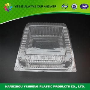 Clear Pastry Container with Hinged Lid