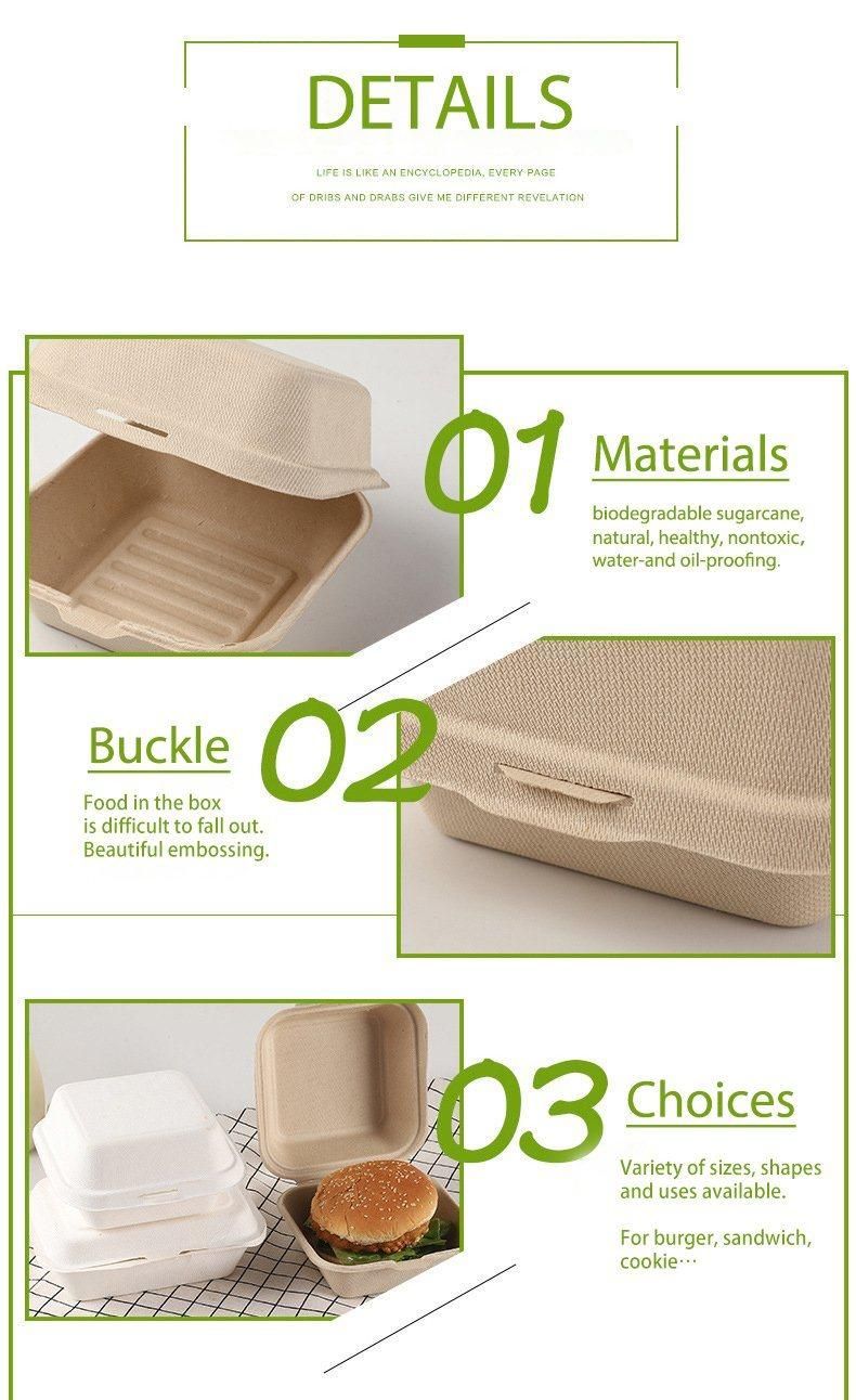 Compostable Sugarcane Bagasse Clamshell Box Disposable Food Packaging Paper Cake Box