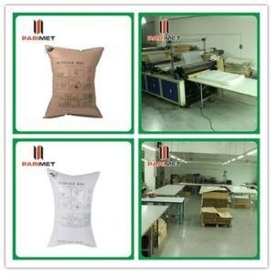 Container Dunnage Air Bags Customizing