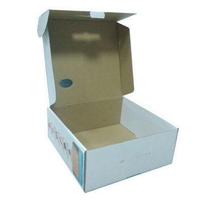 Plastic Handle Carton Packing Box for Shipping