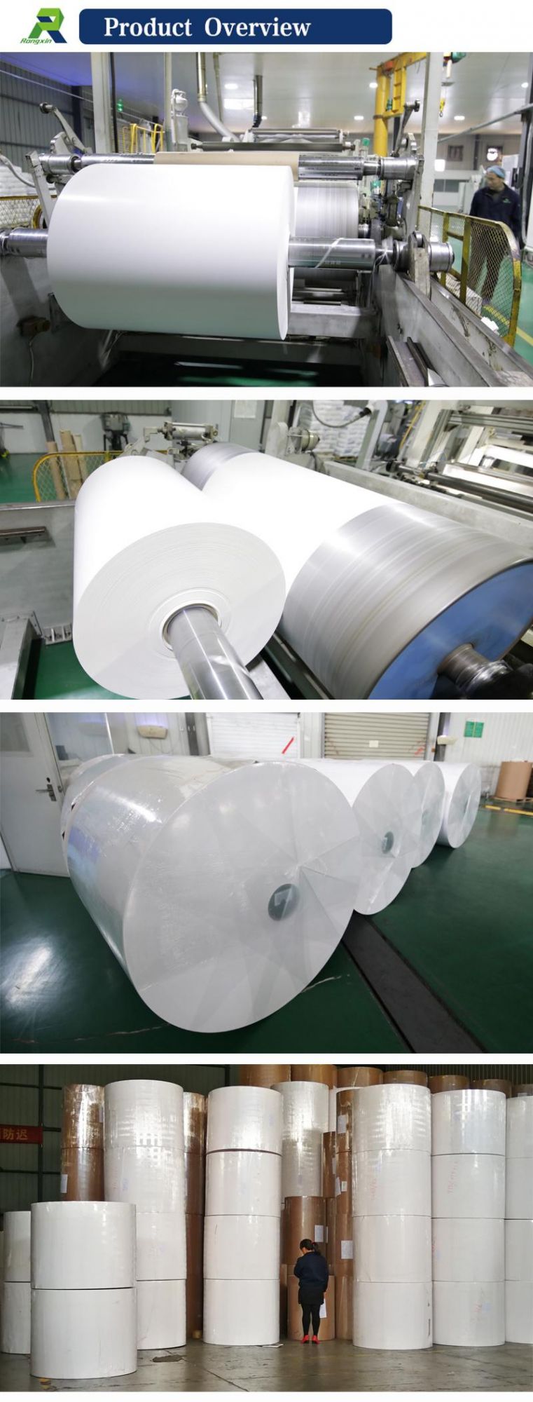 PE Coated Paper for Ice Cream Packaging Cup