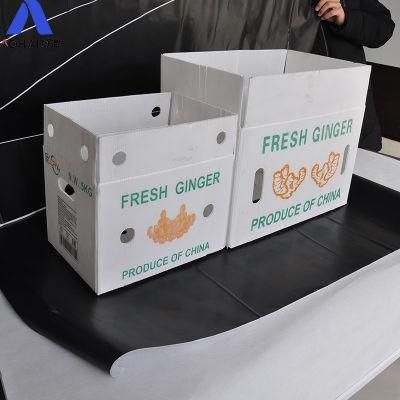 Recyclable Eco Friendly PP Corrugated Plastic Sheet for Packaging Box