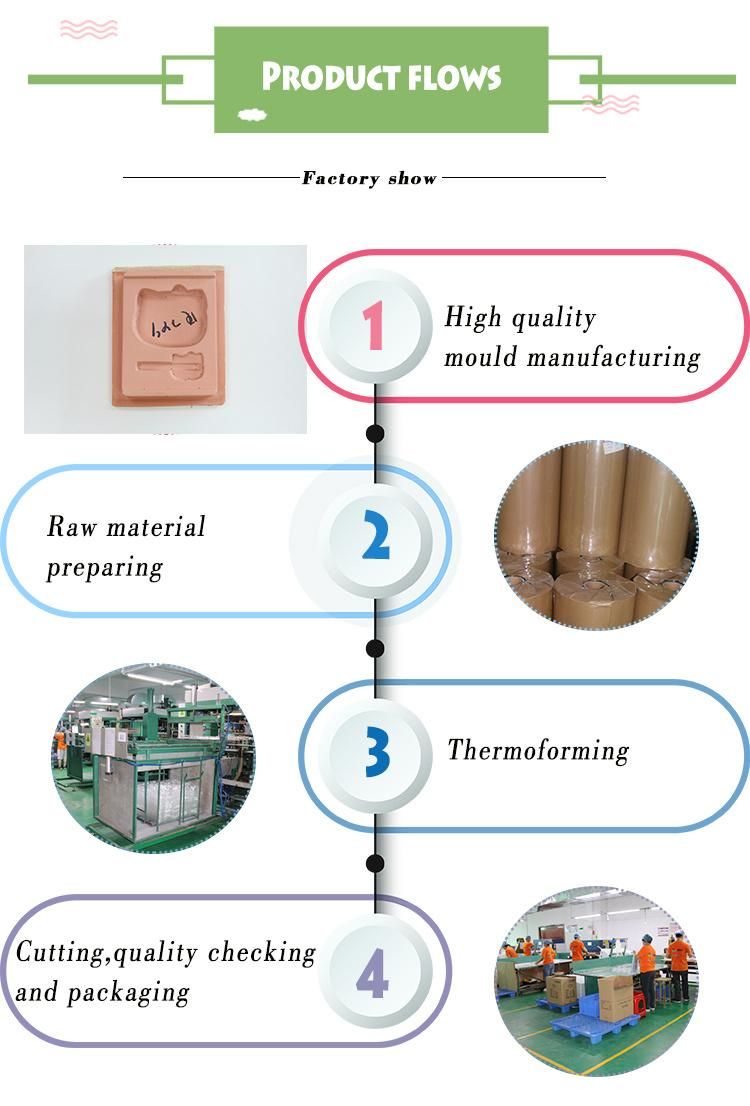 Wholesale Disposable Clear Plastic Duck Egg Tray/Box/Carton