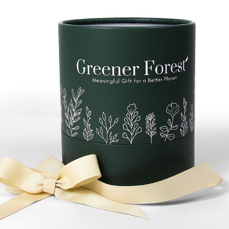 Firstsail Custom Round Luxury Gift Box Watch Jewelry Cylinder Paper Tube with Ribbon