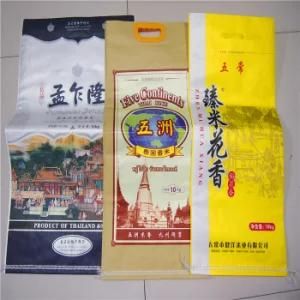 China Supplier Plastic Packaging Bag for Wheat Flour