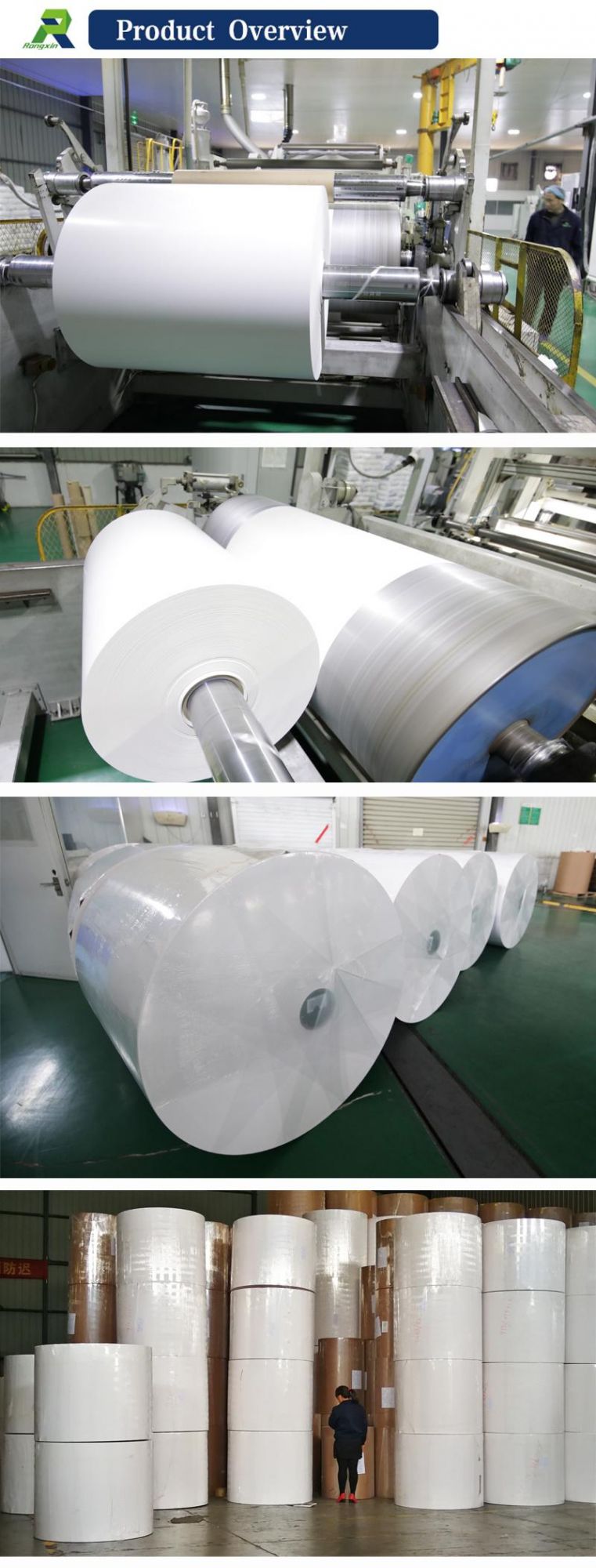 PE Coated Folding Box Board for Food Packaging