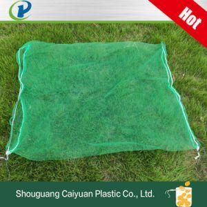 Green Mesh Bag for Date Palm, HDPE Monofilament Palmmesh with Blacking String Collecting and Protection