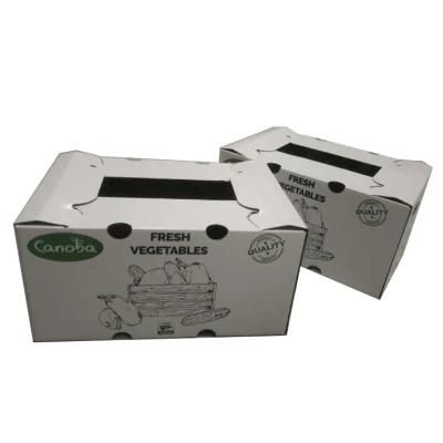 White Fresh Vegetables Packing Cardboard Paper Box
